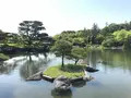 国営昭和記念公園の写真_319855