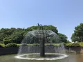 国営昭和記念公園の写真_319858