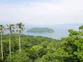 知林ケ島の写真_320101