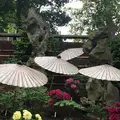鶴岡八幡宮の写真_320115