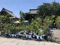 池上本門寺仁王門の写真_320143