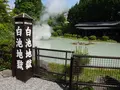 白池地獄の写真_320261
