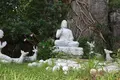 五行山の写真_320275