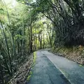 角島大橋 (つのしまおおはし)の写真_320325