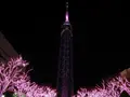福岡タワーの写真_320381