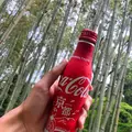 嵐山 竹林の小径の写真_320428