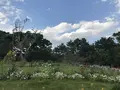 はままつフラワーパークの写真_320449