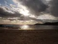鬼の洗濯板の写真_320461