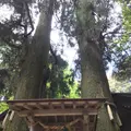 高千穂神社の写真_320477