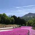 羊山公園の写真_320617