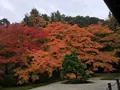 南禅寺の写真_320669