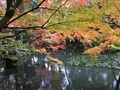 南禅寺の写真_320671