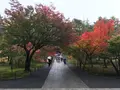 南禅寺の写真_320672