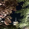 東寺 五重塔の写真_320679