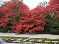南禅寺の写真_320683