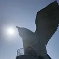フナウサギバナタの写真_320710