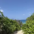 砂山ビーチの写真_320718