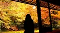 瑠璃光院の写真_320724