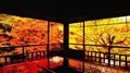 瑠璃光院の写真_320725