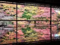 瑠璃光院の写真_320726