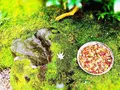 瑠璃光院の写真_320727