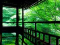 瑠璃光院の写真_320767
