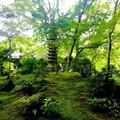 瑠璃光院の写真_320768