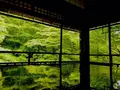 瑠璃光院の写真_320769