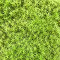 瑠璃光院の写真_320770