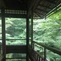 瑠璃光院の写真_320772