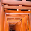 伏見稲荷大社の写真_320798