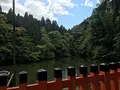 伏見稲荷大社の写真_320801