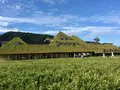 ラコリーナ近江八幡の写真_320820