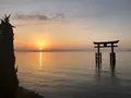 白鬚神社の写真_320999