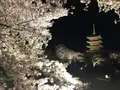 東寺（教王護国寺）の写真_321066