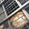 ノースサファリサッポロの写真_321137