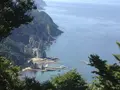 仏ヶ浦の写真_321232