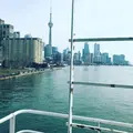 トロントアイランド（Toronto Island）の写真_321271