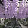 天王川公園の写真_321373