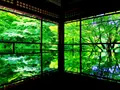 瑠璃光院の写真_321431