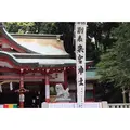 來宮神社の写真_321578