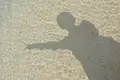 コンドイ浜の写真_321639