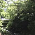 榛名神社の写真_321712