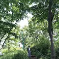 東板橋体育館の写真_321872