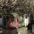 北野天満宮の写真_321916
