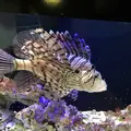 魚津水族博物館の写真_321923