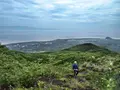 波浮港の写真_321933