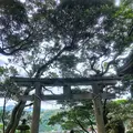 波浮港の写真_321936
