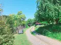 ドロフィーズカフェ （DLoFre's Cafe）の写真_322050