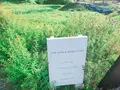 ドロフィーズカフェ （DLoFre's Cafe）の写真_322051